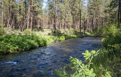 13135 SW Tract C Lane, Camp Sherman, OR 97730
