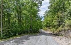 301 Jackpine Road, Beech Mountain, NC 28604