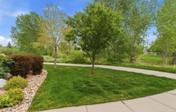 5408 Old Mill Rd, Fort Collins, CO 80528