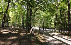 363 Weeks Creek Road, Blue Ridge, GA 30513