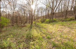 000 Township Rd 170, Fresno, OH 43824