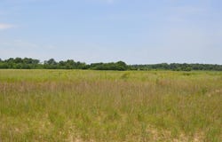 40 Acres, Fisher, AR 72429