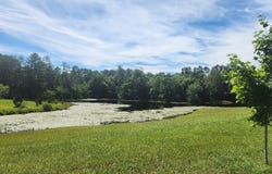 Lot23 Pine Lake Est /Waller Road, Pikeville, TN 37367