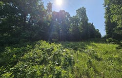 0 Private Drive Off Yy, Norwood, MO 65717
