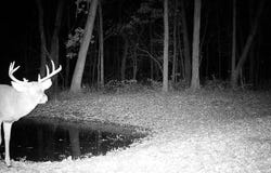 Simons Rd, Alma, WI 54610