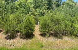 Citron Lane, New Tazewell, TN 37825