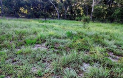 0 SW 153 LANE, DUNNELLON, FL 34432