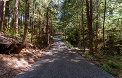 545 Bartel Rd, CannonBeach, OR 97110