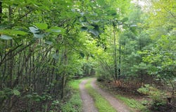 Tbd Spring Valley Rd, Elk Creek, VA 24326