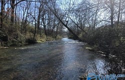 6777 Hwy 207, Anderson, AL 35610