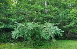 45493 DEER CROSSING LANE, CALIFORNIA, MD 20619