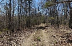 1 Off FSR 2531, Belleview, MO 63623