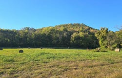 TBD W School House Hollow Road, Melbourne, AR 72556