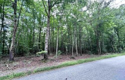 TBD OLD SHORE RD, BLACKSTONE, VA 23824