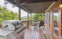 3164 White Falcon Way, Pigeon Forge, TN 37863