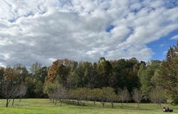 ASSIGNED ON REQUEST, PARTLOW, VA 22534