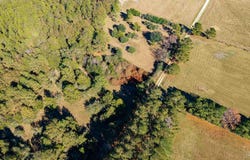 1756 Jacks Branch Rd, Cantonment, FL 32533