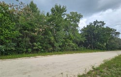 NE 141ST Avenue, WILLISTON, FL 32696