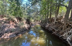 137 CR, Cisco, TX 76437