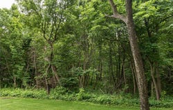 Tbd West Point Trail, Amor Twp, MN 56576