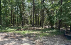 107 Pine High Lane, Brookeland, TX 75931
