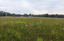 Bison Road, Crocker, MO 65452