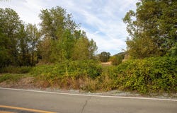 0 SECOND AVE, Riddle, OR 97469