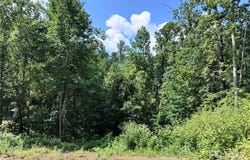 7 Winter Hawk Drive unit: 3, Arden, NC 28704