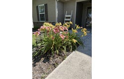 7626 Stonewood Creek Drive, Corryton, TN 37721