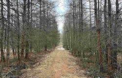 00 COUNTY ROAD J, Wausau, WI 54403