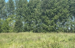 91171 OLD MILL TOWN Rd, Clatskanie, OR 97016