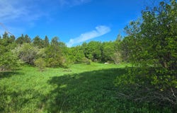 County Route 95, Lorraine, NY 13659