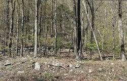 14 Hawk Mountain Drive, Sparrowbush, NY 12780