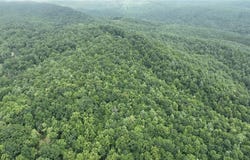 0 Griffin Lane, Millers Creek, NC 28651