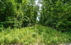 Baroid Road, Magnet Cove, AR 72104