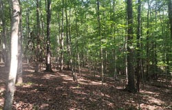 0 Knoll Woods Drive, Rustburg, VA 24588