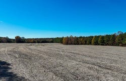 5664 Longview Drive, Kenbridge, VA 23944