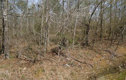 551 GRAYTON ROAD lot: 0, OHATCHEE, AL 36206