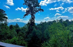 190 Summit View Lane, Ellijay, GA 30540