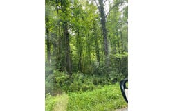 16165 Brushy Rd, Pikeville, KY 41501