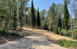 ALPINE MEADOW Loop lot: 13, Alpine, WY 83128
