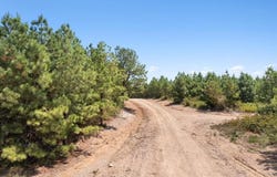 368 Kaisley Blue Eye Way, Broken Bow, OK 74728