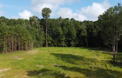 2 Grooms Rd, Cross, SC 29436