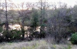 18675 Wilderness Drive, Cottonwood, CA 96022
