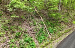 Lot 27 Black Walnut Flats Road, Sevierville, TN 37876