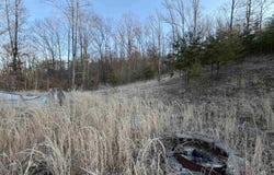 796 Bear Run Road, Cairo, WV 26337