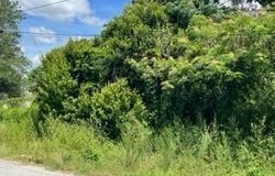 MAY Street SE, Live Oak, FL 32064