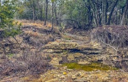 Unk CR 421 Road, Evant, TX 76525