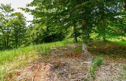319 The Vines Boulevard unit: 21, Marshall, NC 28753
