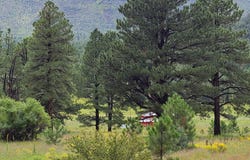 Cr N2276, Nutrioso, AZ 85932